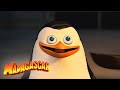 The Penguins Of Madagascar Private S Best Moments Mini Moments