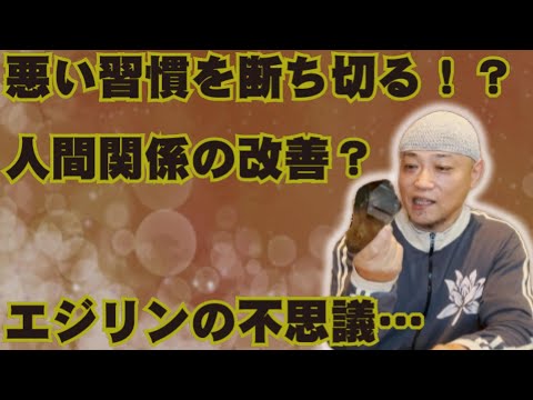 エギリンについて詳しく解説