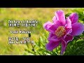 The Future Is Beautiful (미래는 아름다워)/ Daniel Kobialka & photo by 모모수계