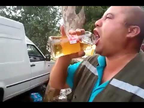 Tomando Pisco A Lo Macho -  Reverse