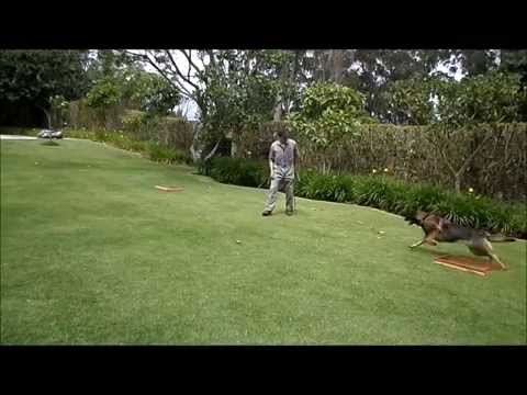 Atena en su practicas de direccionamiento y voraus  con cajas de referencia