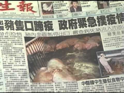 認識動植物防疫-認識檢疫犬