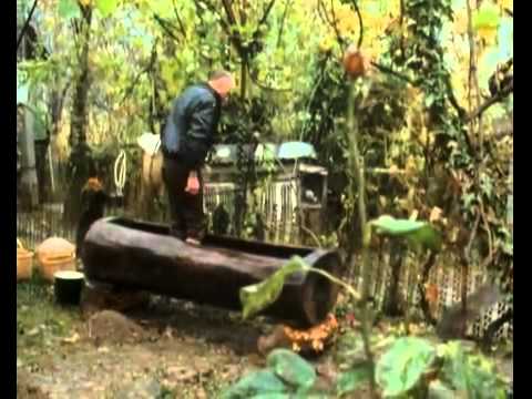 Vintage - A History of Wine Pt.1