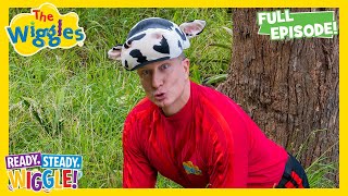 Can Captain Feathersword Keep His Hat On? 😂🎵 Ready, Steady, Wiggle! S5E26 📺 Wiggly Dance Adventure