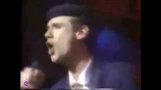 Curiosity Killed The Cat ~ MISFIT