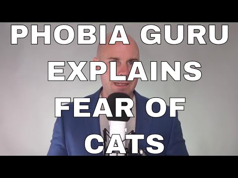 Phobia Guru explains Fear of Cats known as Ailurophobia