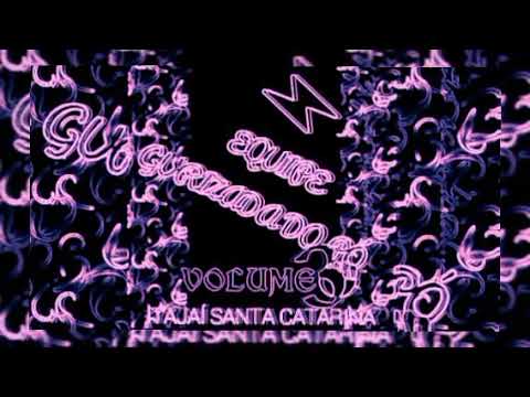 02 CD MEGA FUNK EQUIPE GURIZADA DO PÓ VOLUME 3