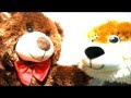 Peek A Boo Happy Fun With Friendly Bear And Fox