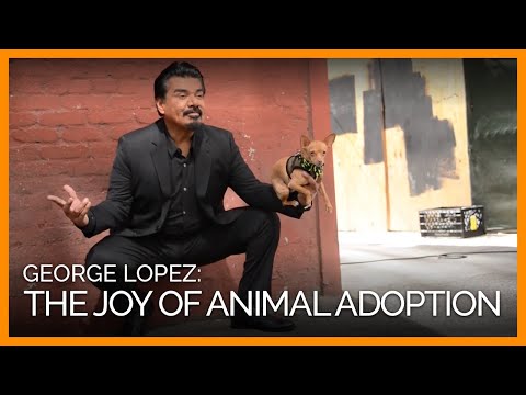 George Lopez Talks About the Joys of Animal Companions, the Importance of Spaying/Neutering