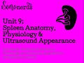 Spleen Anatomy | Physiology | Ultrasoun Appearance with Sononerds
