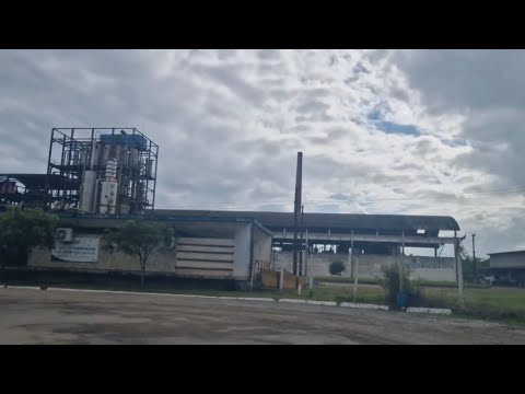 Usina Estreliana em Ribeirão-PE, Vai Moer em  Breve.(COAFSUL)
