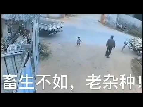 畜性