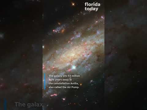 Hubble captures glittering spiral galaxy NGC 3137
