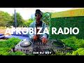 IAN || Afro House mix (Afrobiza Radio Show)