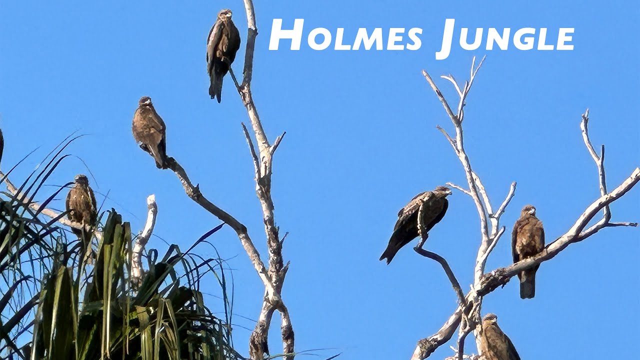 Experience the tropical side of Darwin at Holmes Jungle Nature Park.