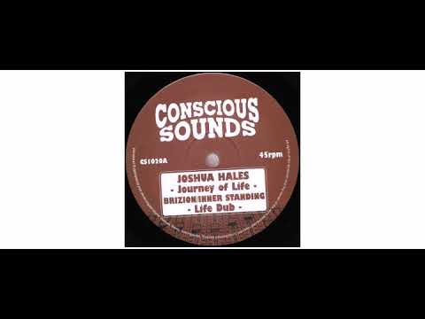 Joshua Hales - Journey Of Life - 10" - Conscious Sounds