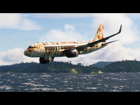 emergency landing of a plane at sea live eps 568