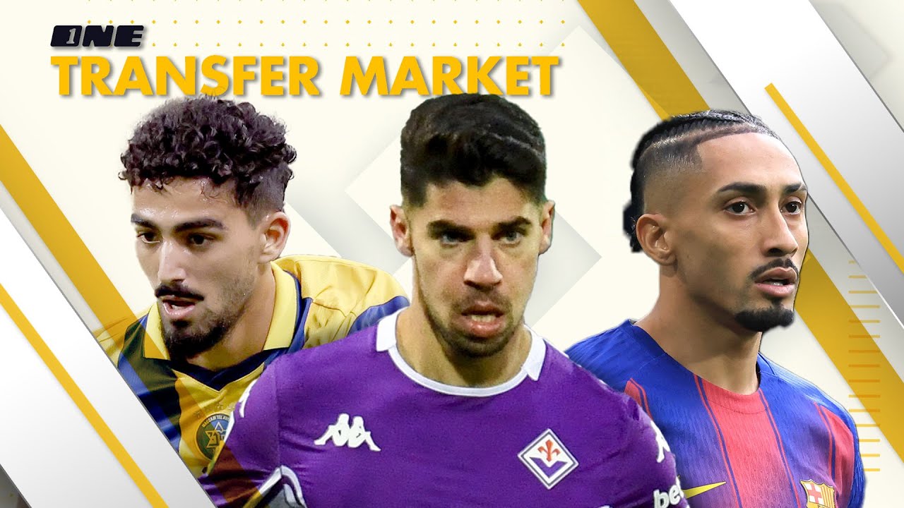 טרנספר מרקט - תוכנית 2 המלאה!