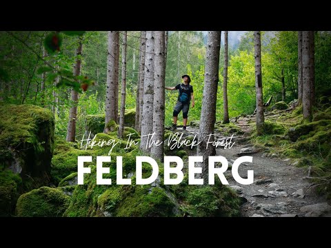 Feldberg | Hiking The Black Forest Highest Peak