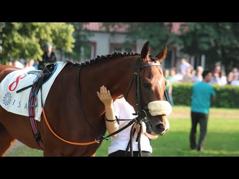 101. Srpski galopski derbi - ceremonija