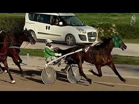 Aversa trotto 28 Dicembre 2022 - 7° Corsa