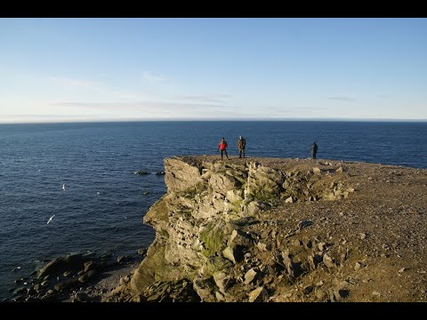 Мыс Желания. Вкус Мёда