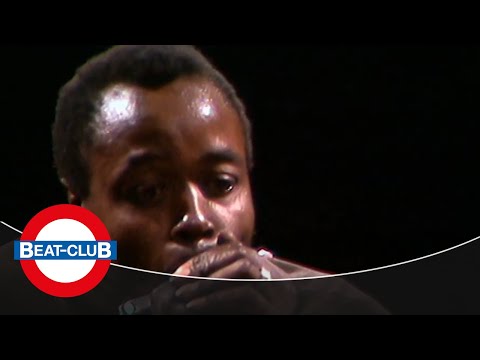 Muddy Waters - Walking Thru the Park (Walking in the Park) - 2nd version (1970)