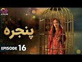 Pakistani Drama | Pinjra - Episode 16 | Aplus Gold | Yumna Zaidi, Nauman Aijaz | CZ1O