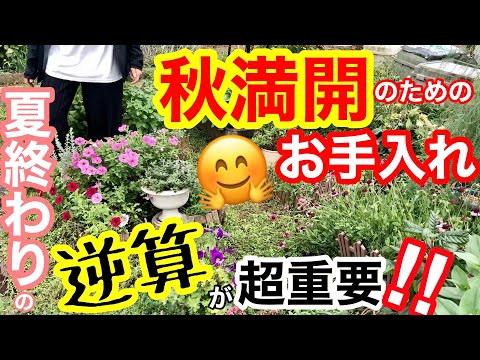 夏から初霜が降りるまで色が鮮やかになるように、2月にベランダに植える予定です。  庭園