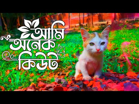 আমি অনেক কিউট 🤭😁 (mdabdulazimofficial)