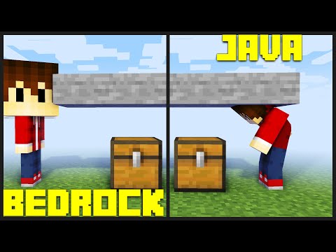 20+ Java vs Bedrock Dinge in Minecraft | LarsLP