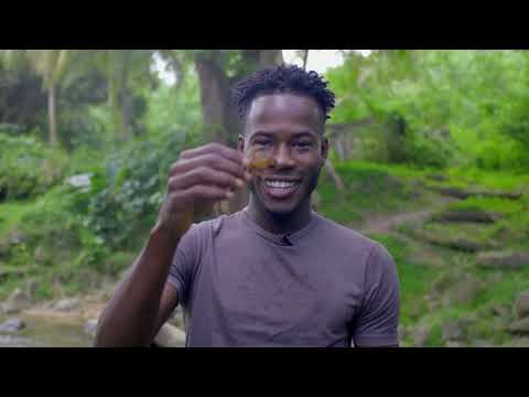 V'ghn Grenada Rocks | Marble Creative Agency