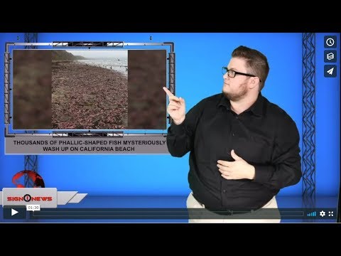 Thousands of phallic-shaped fish mysteriously wash up on California beach (AsL - 12.15.19)