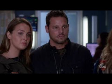 Grey's Anatomy 14x09 Ending Scene Season 14 Episode 9 [HD] "1-800-799-7233"