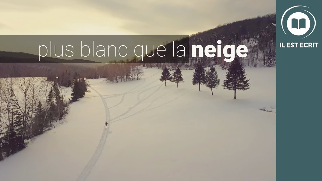 Plus blanc que la neige !