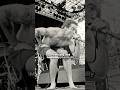 Henry Rollins about the MTV stars