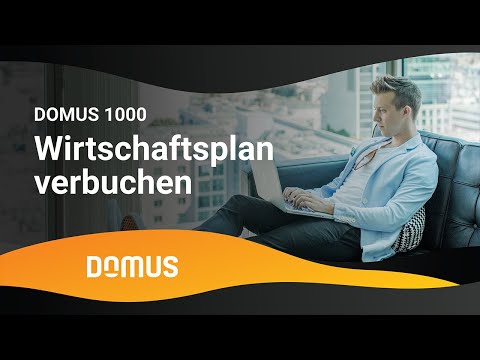 DOMUS 1000 - Wirtschaftsplan verbuchen