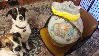 Puma MagMax Vs.  THE WORLD