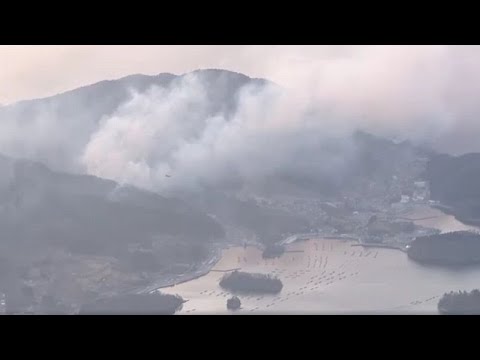 Waldbrände in Japan: 2600 Hektar verbrannt
