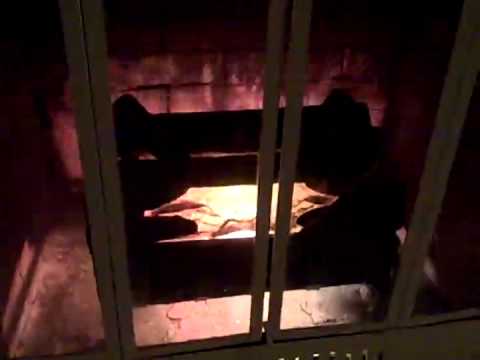 GHP Group Pleasant Hearth 20  Electric Crackling Natural Wood Log