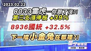 【量子戰情室】#陳武傑 0222 8033雷虎…你跟了沒?! 第三支漲停板 +39% /8936國統 +32.5%；下一檔小金兔在那裡?! (圖)