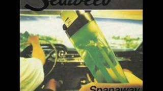 Seaweed - Start With