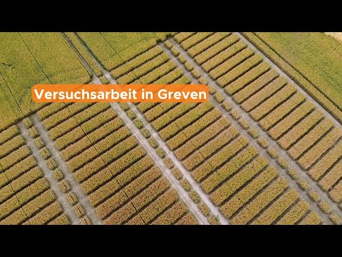 Versuchswesen: Versuchsbesichtigung in Greven