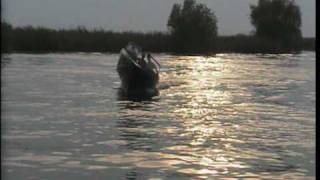 preview picture of video 'Тест лодки Саламандра на реке Турунчук в Беляевке 2'