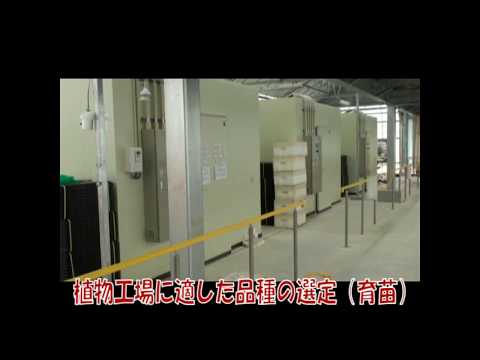 愛媛大学植物工場研究センター（植物工場実証・展示・研修部門）