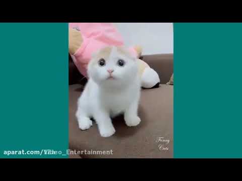 ۲۶ آوریل ۲۰۲۱