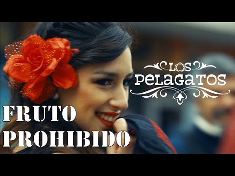 Traidora - Pelagatos