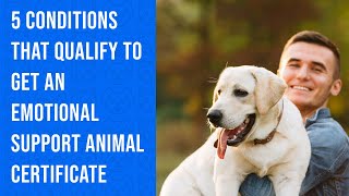 Emotional Support Dog Certificate  | myesadoctor.com