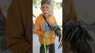 Download lagu TIDAK ADA UANG JUAL AYAM #shorts hobby kita full video cek deskripsi mp3