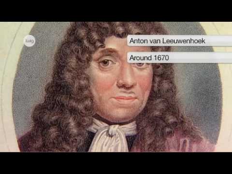 The History of the Microscope